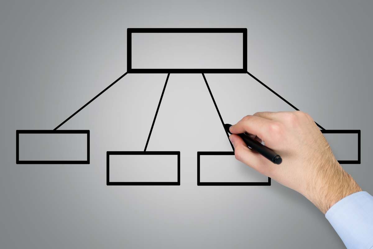 الهيكل التنظيمي